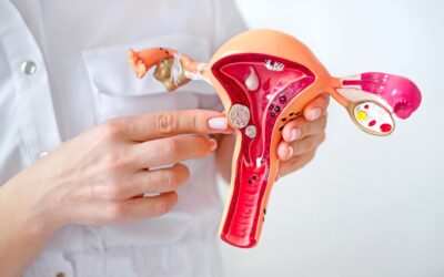 Ινομυώματα