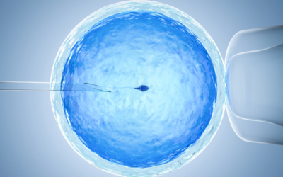Εξωσωματική Γονιμοποίηση – IVF