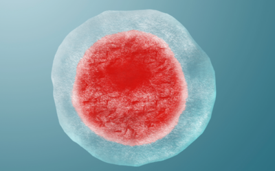 Κρυοσυντήρηση ωαρίων