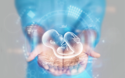Mini IVF